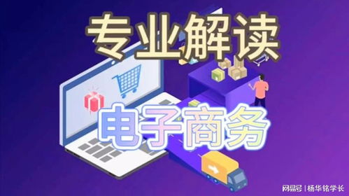 電子商務(wù)專業(yè) 數(shù)字時代的商業(yè)先鋒