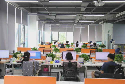 熱烈歡迎弗?？缇畴娮由虅?wù)入駐OVU創(chuàng)客星創(chuàng)意天地北站